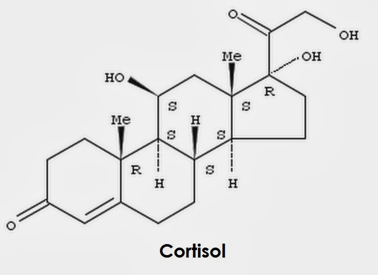 Кортизол 10