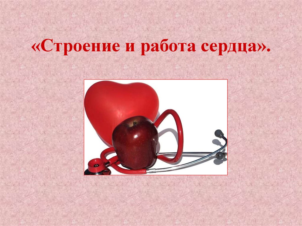 Физика работы сердца. Работа сердца презентация. Презентация на тему сердце. Строение и работа сердца. Биология тема сердце.