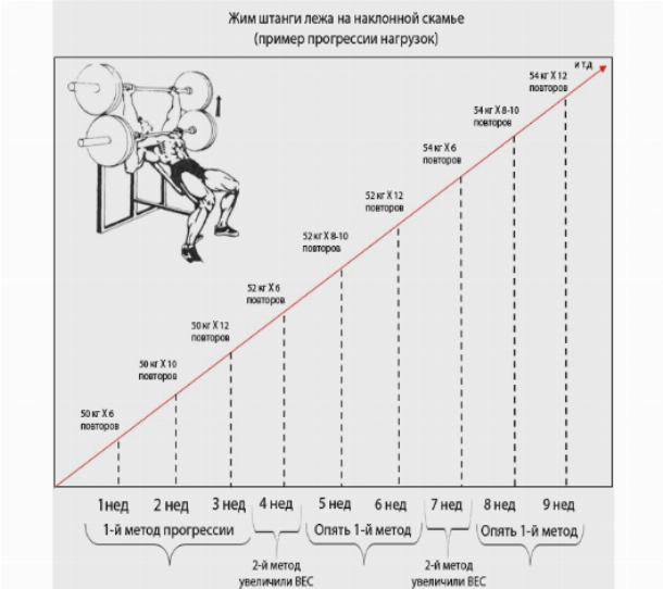 Программа тренировок по жиму лежа на силу схема по процентам