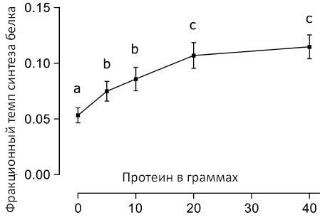 Темп синтеза белка