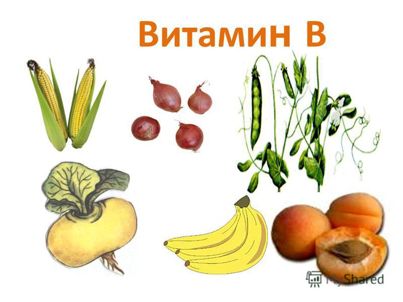 Рисунок витамины в овощах и фруктах