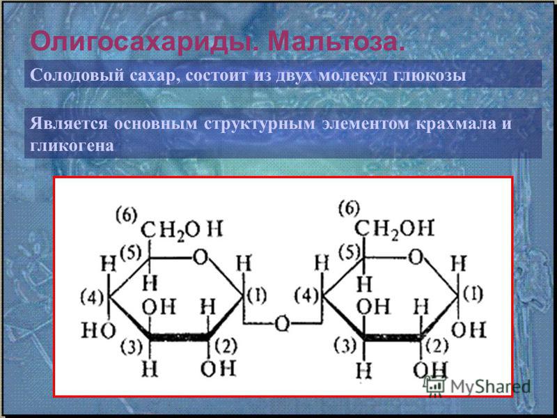 Молекула гликогена