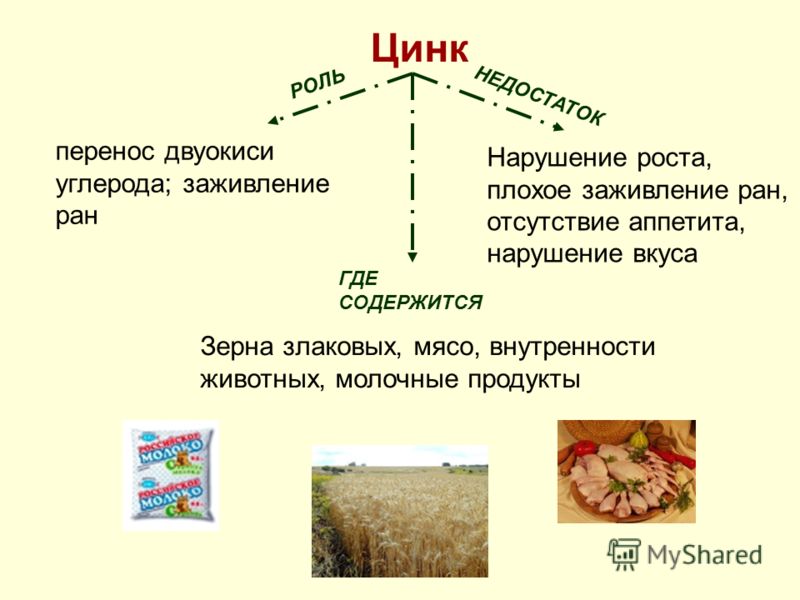 Продукты с высоким содержанием цинка для мужчин. Продукты содержащие цинк.