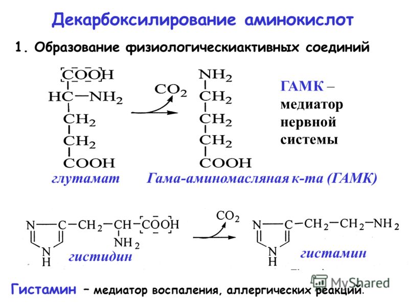 Декарбоксилирование аминокислот реакция. Декарбоксилирование аминокислот биохимия схема. Типы реакции декарбоксилирования аминокислот. Декарбоксилирования аминокислоты гистидина. Реакция декарбоксилирования аминокислот.