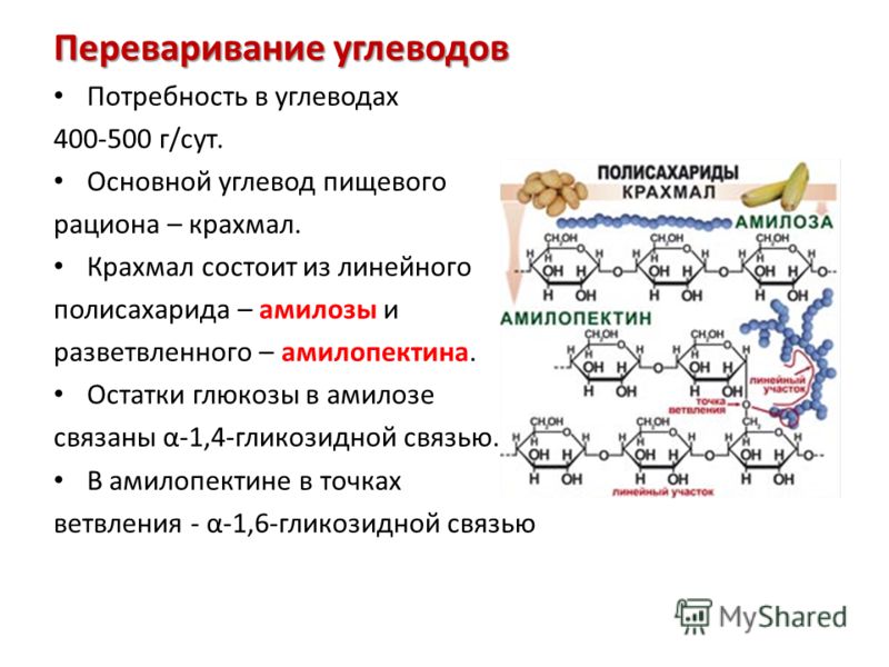 Аминокислоты и простые углеводы. Переваривание Глюкозы биохимия. Схема переваривания углеводов биохимия. Химическое строение углеводов биохимия. Переваривание углеводов биохимия кратко.