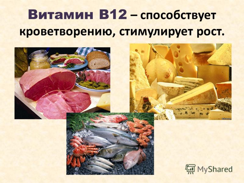 В12 содержится в продуктах