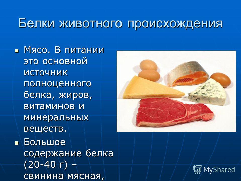 В чем особенность продуктов животного происхождения