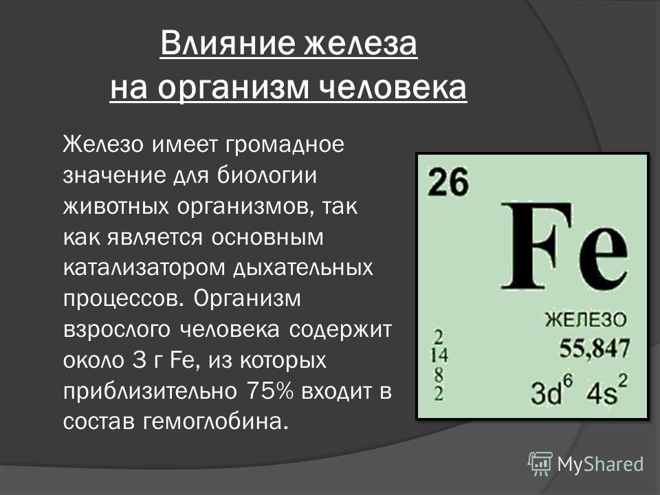 Железо в организме человека. Влияние железа на организм. Железо влияние на организм человека. Как железо влияет на организм. Железо действие на организм человека.