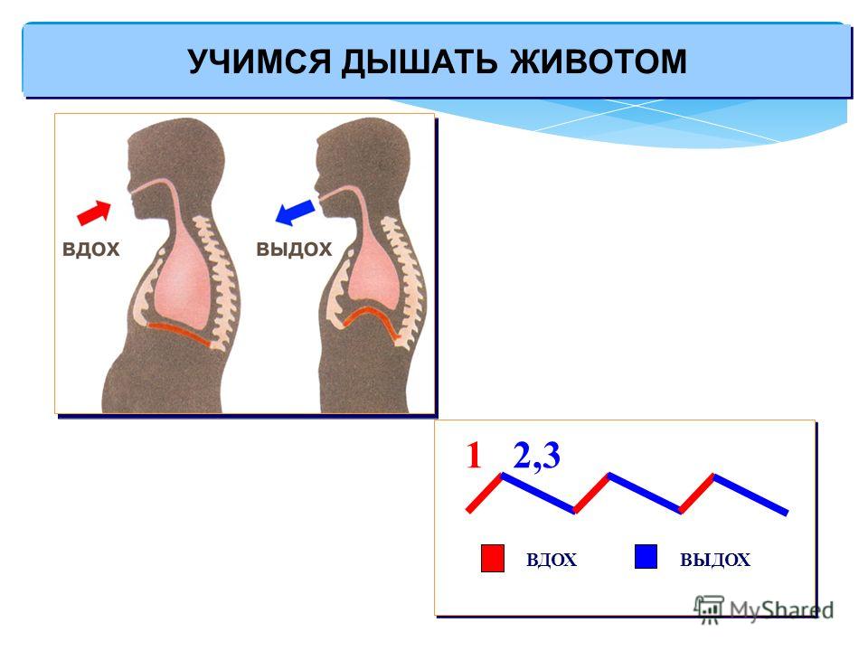 Как дышать животом