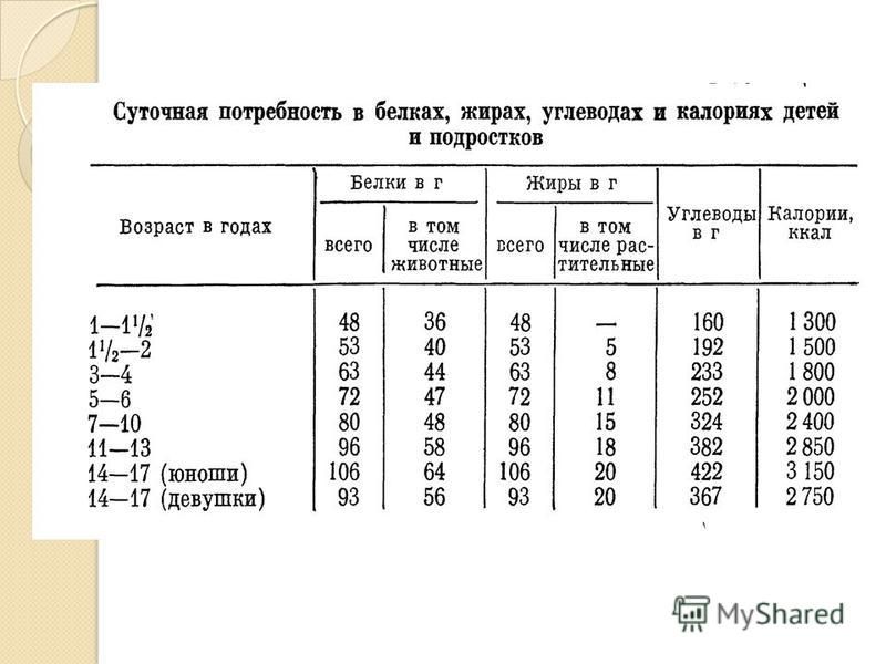 Суточная потребность в белках