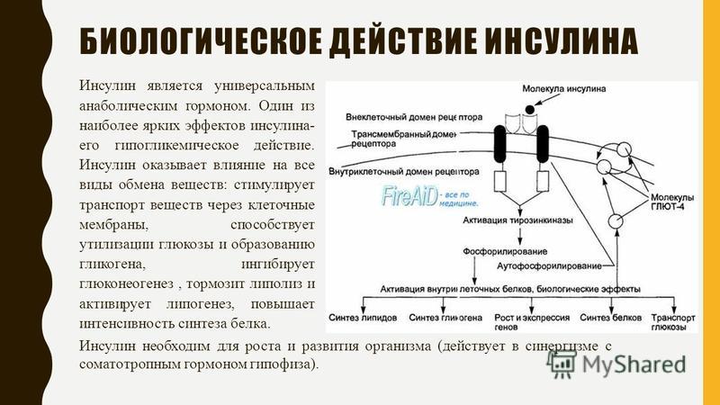 Схема действия инсулина