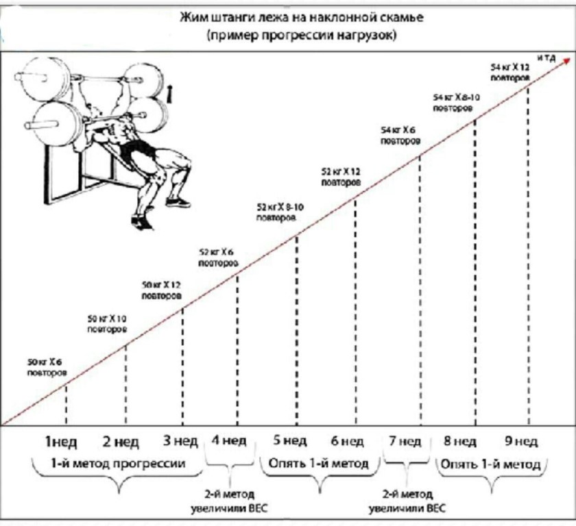 Программа тренировок по жиму лежа на силу схема по процентам