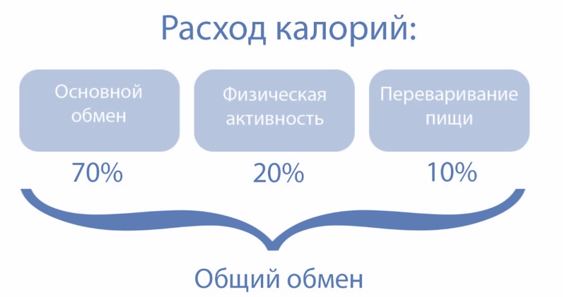 Норма калорий калькулятор. Норма калорий кормящей женщины. Норма калорий для девушки 15 лет. Норма калорий в день для кормящей женщины. Карта потребления калорий в мире.