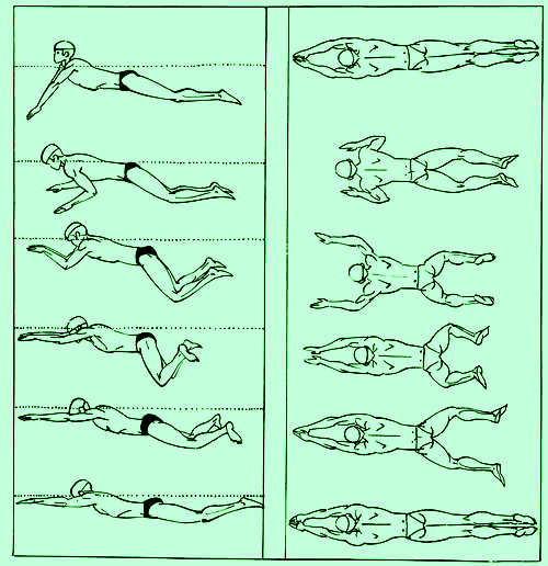 Как правильно плавать. Техника плавания брассом движения рук ног. Техника плавания брасс схема. Стиль плавания лягушки. Техника плавания лягушкой.