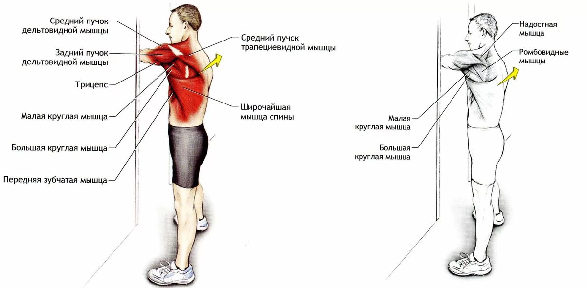 При поднятии руки вверх боль в плече. Растяжка мышц плечевого сустава. Растяжка средней дельтовидной мышцы. Упражнения на растяжение дельтовидной мышцы.