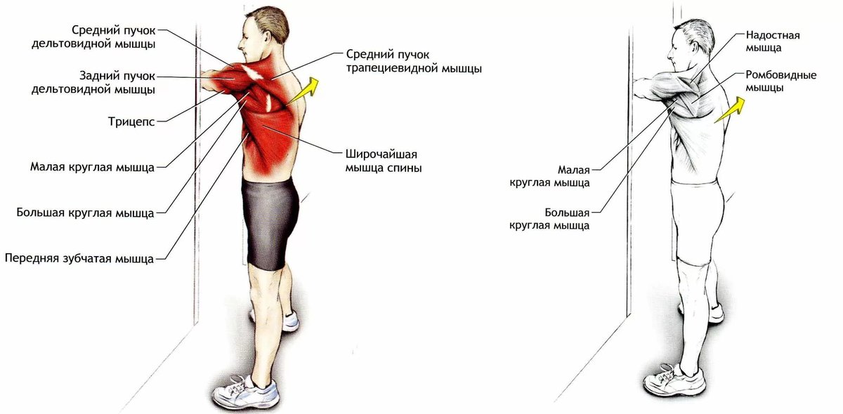 Растяжение мышц руки. Надплечье сзади болит. Растяжка плечевых мышц. Растяжка мышц рук и плечевого пояса. Растяжка средней дельтовидной мышцы.