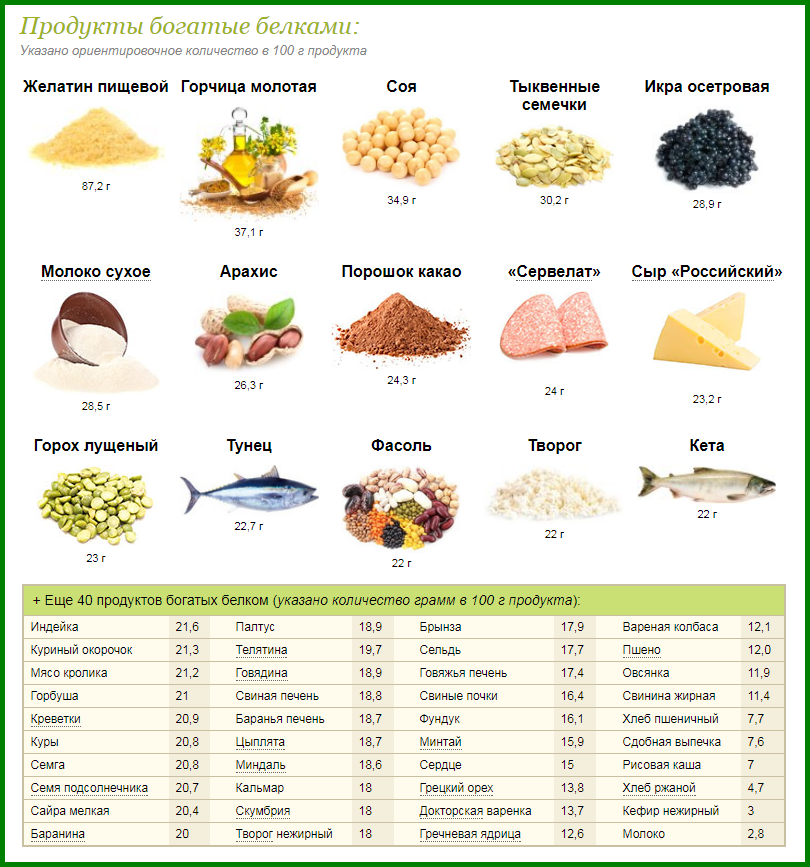 Что такое белок в продуктах питания список с фото