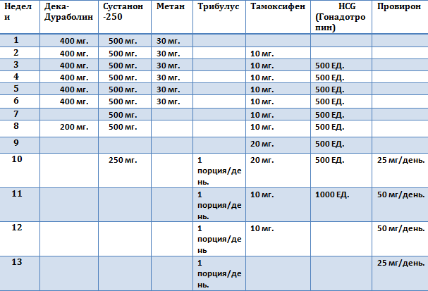 Вечный курс стероидов схема