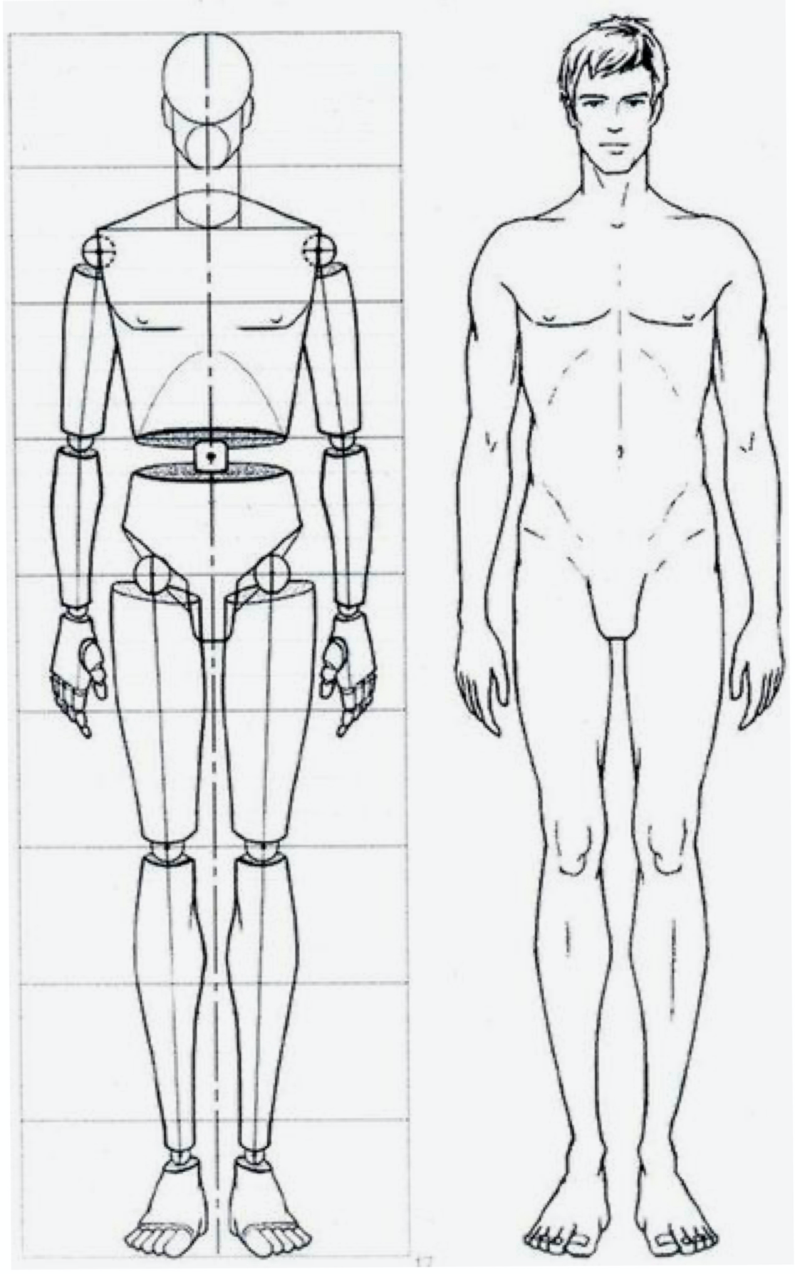 Схема мужских рисунков. Шарнирная кукла мужчина схема. Пропорции человека в полный рост схема. Пропорции человека для рисования. Пропорции мужчины для рисования.