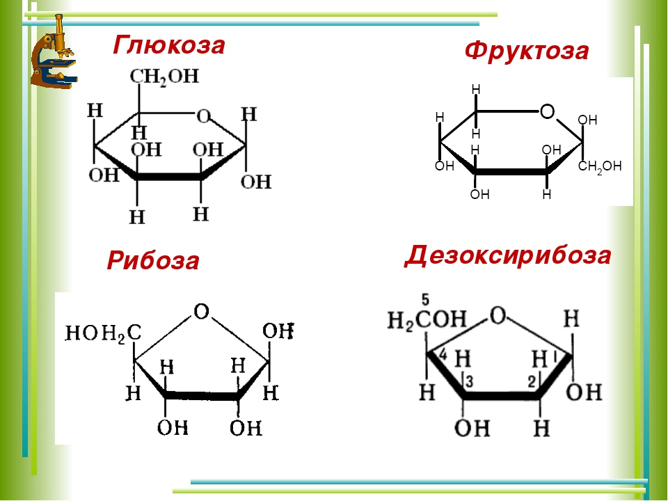 Фруктозы галактозы глюкозы сахарозы. Глюкоза фруктоза рибоза. Глюкоза фруктоза рибоза формула. Строение дезоксирибозы формула. Моносахариды Глюкоза фруктоза рибоза.