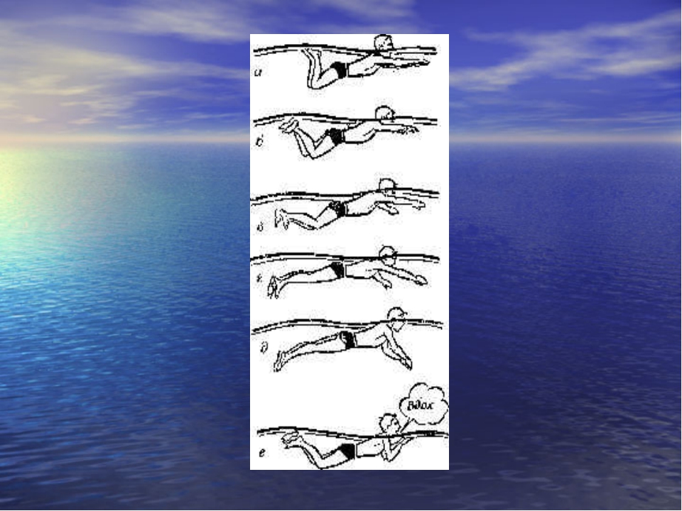 Обучение техники плавания кролем. Техника плавания брассом. Кроль брасс. Основа техники в плавании брассом. Брасс движение руками.