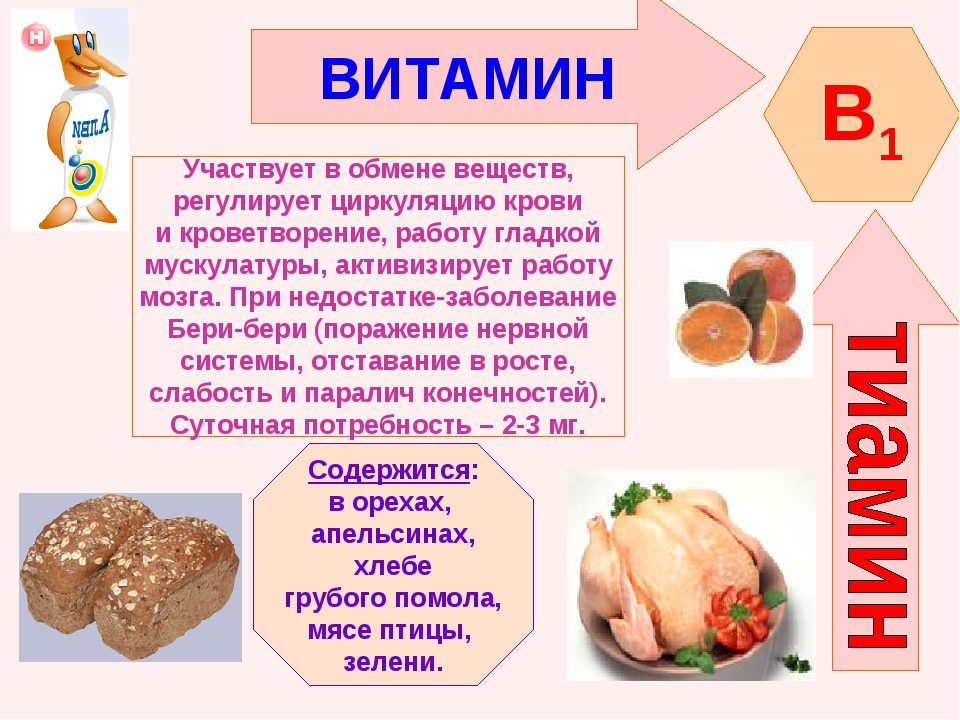 В каких продуктах витамин в7. Витамин б1 кратко. Витамины группы б1 и б5. Реферат по биологии 8 класс витамины. Витамины в2 в3 в6 в7.