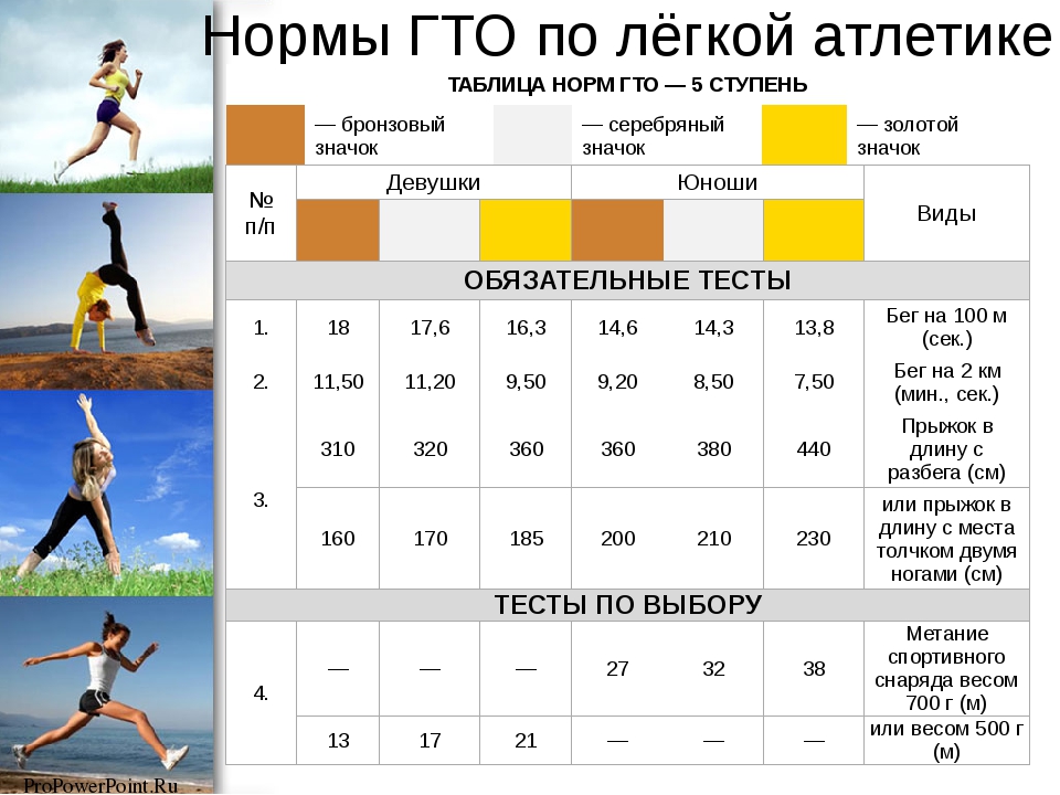 План достижения показателей спорт норма жизни