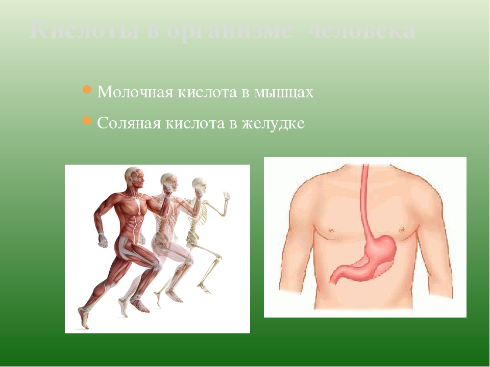 Кислота в мышцах. Кислоты в организме человека. Молочная кислота в организме человека. Молочнокислая кислота в мышцах.