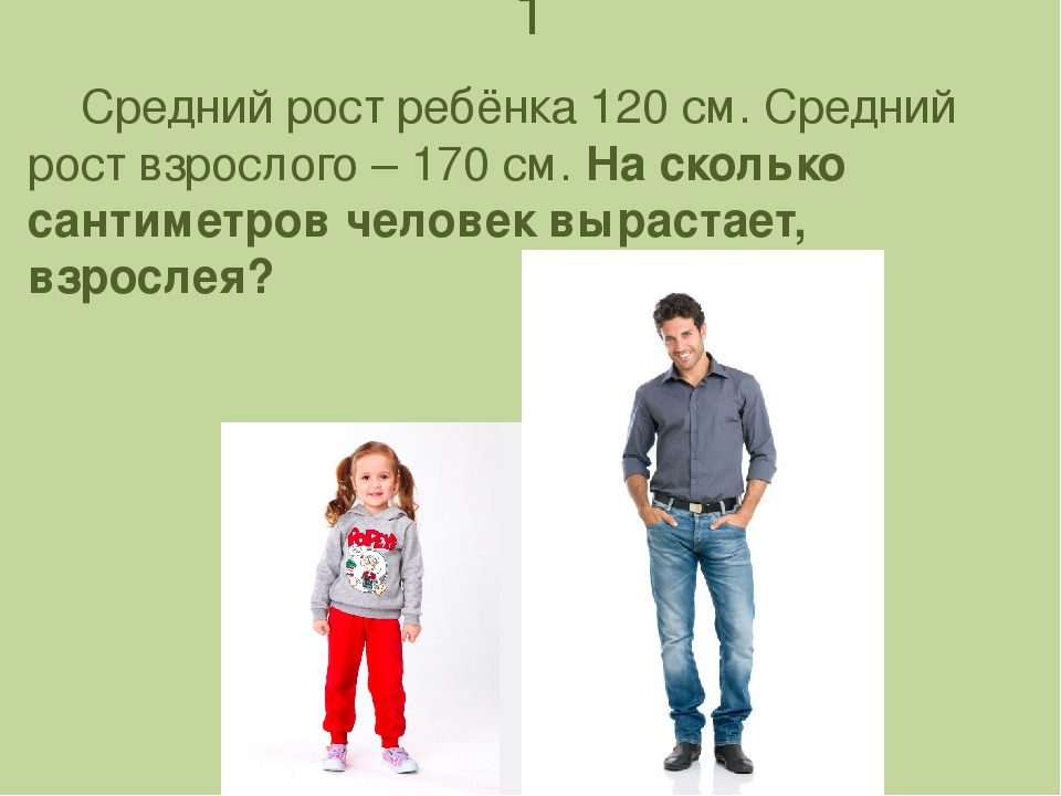 На рисунке папа и сын рост сына 120 см каков примерный рост папы