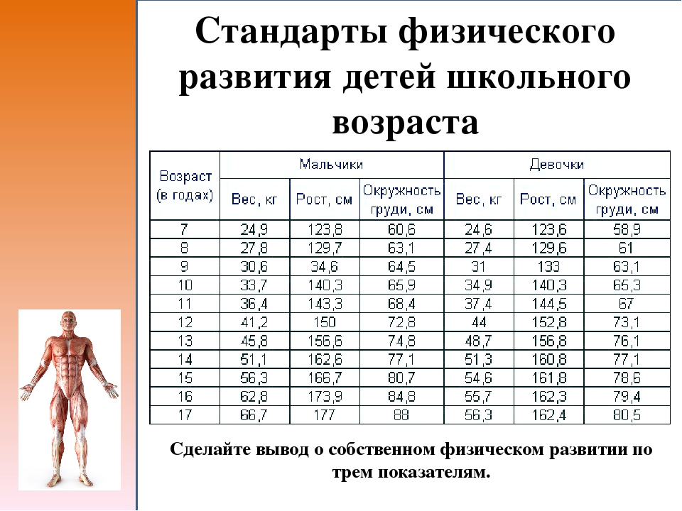 Схема структура антропометрии