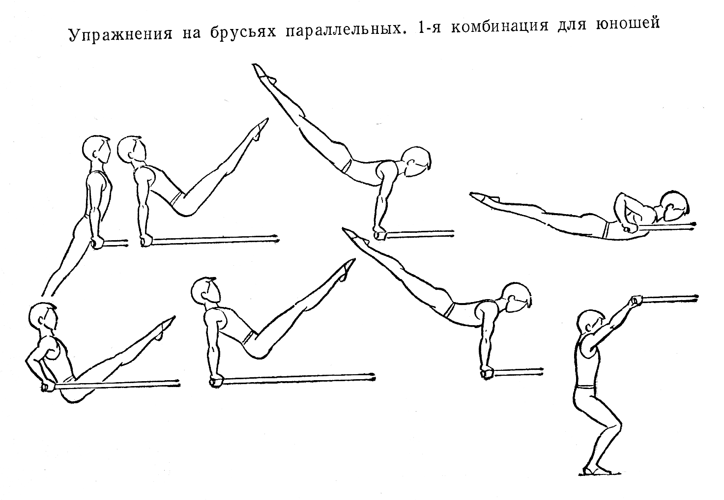 Схема занятий на брусьях