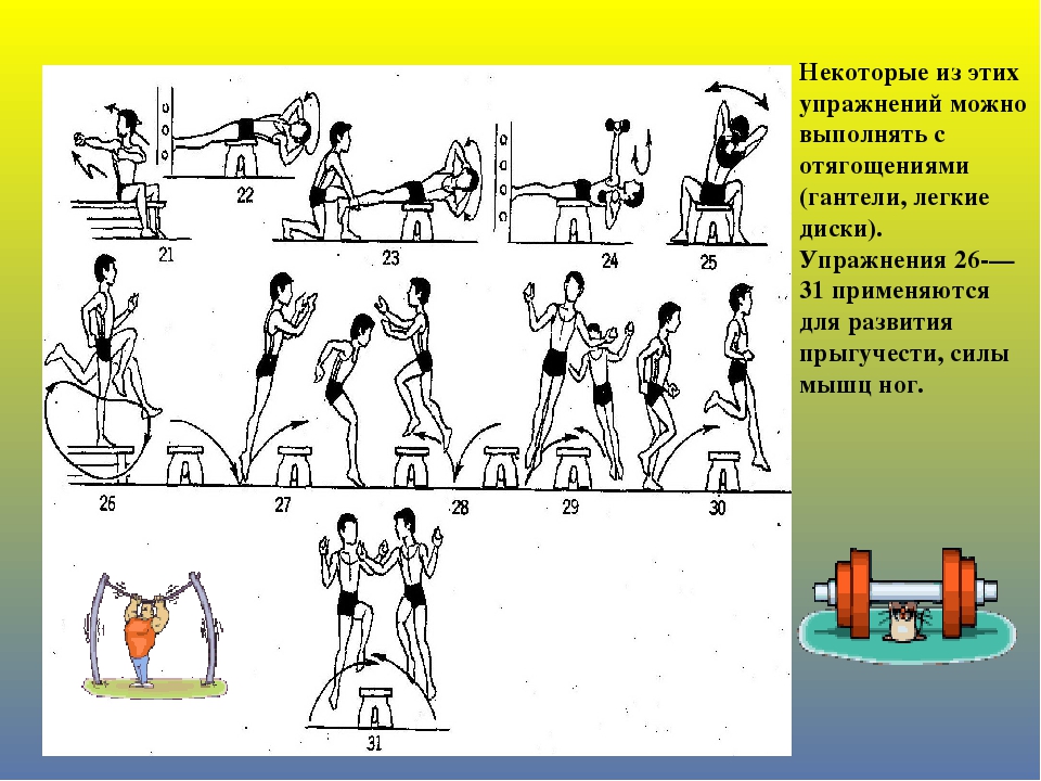 5 силовых упражнений. Комплекс силовых упражнений с гантелями с описанием. Упражнения для развития силы. Упражнения в парах. Упражнения на гимнастической скамье.