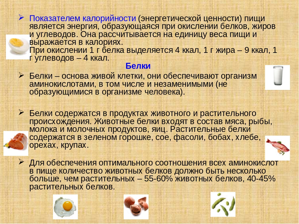 Г жиров. Энергетическая ценность белков при окислении. Понятие об энергетической ценности пищи. Показателем калорийности пищи является. Показатели энергетической ценности.