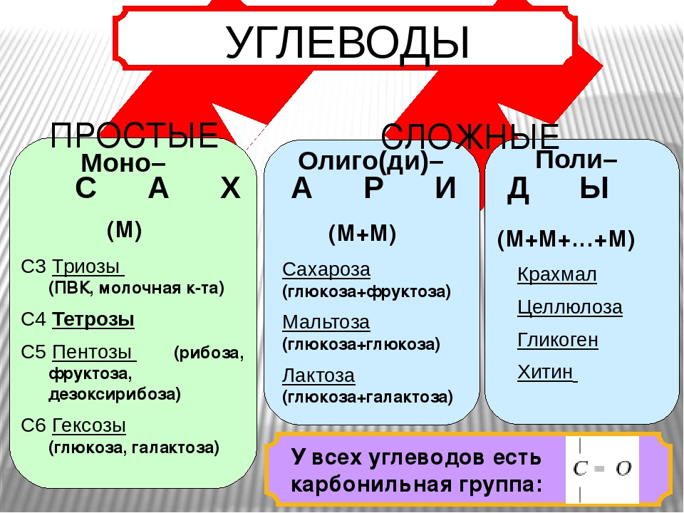 Моно использование. Углеводы 9 класс. Углеводы биология 9 класс. Углеводы класс веществ. Классификация углеводов и липидов.