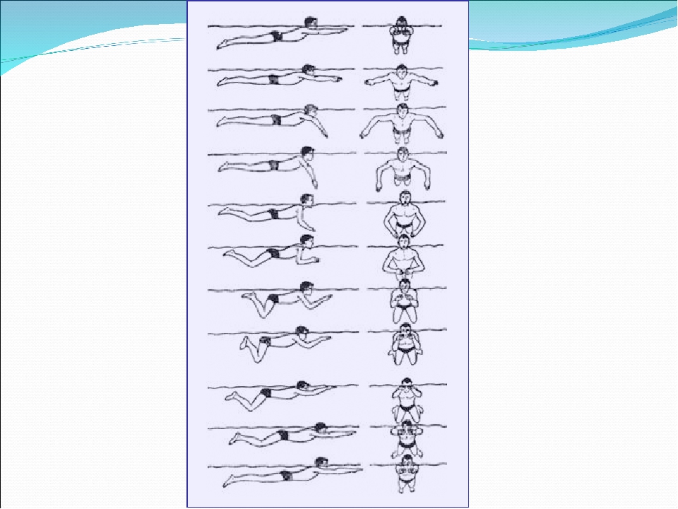 Плавание брассом техника. Брасс Баттерфляй техника. Стиль плавания брасс. Эволюция техники плавания. Техника плавания баттерфляем 4 фазы.