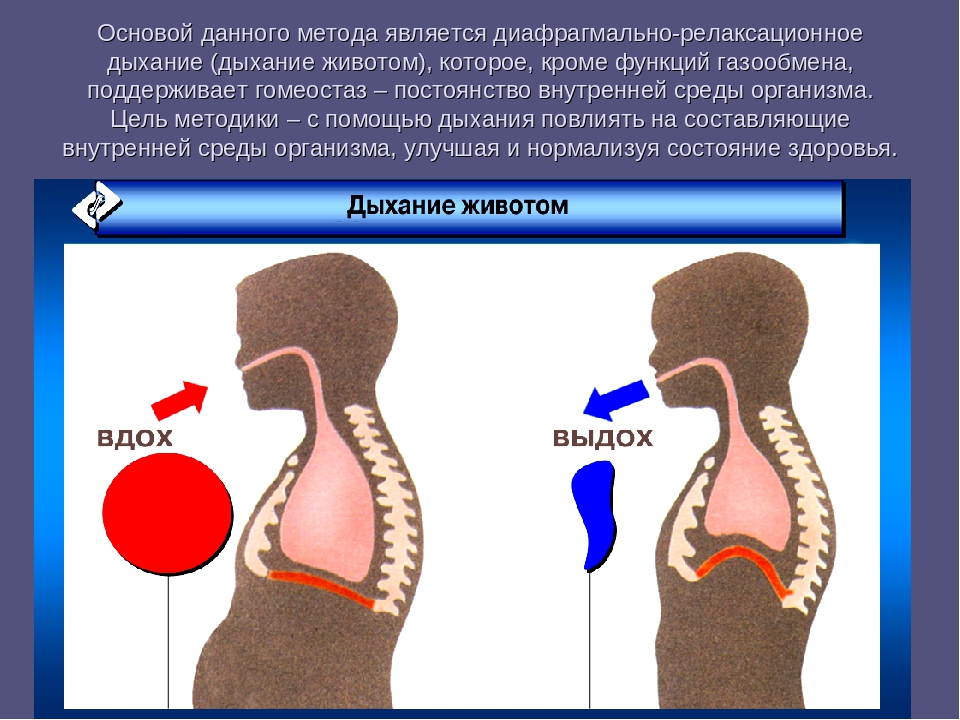 1 диафрагмальное дыхание. Диафрагмальное дыхание. Развитие диафрагмального дыхания. Постановка диафрагмального дыхания. Постановка диафрагмального дыхания у детей.