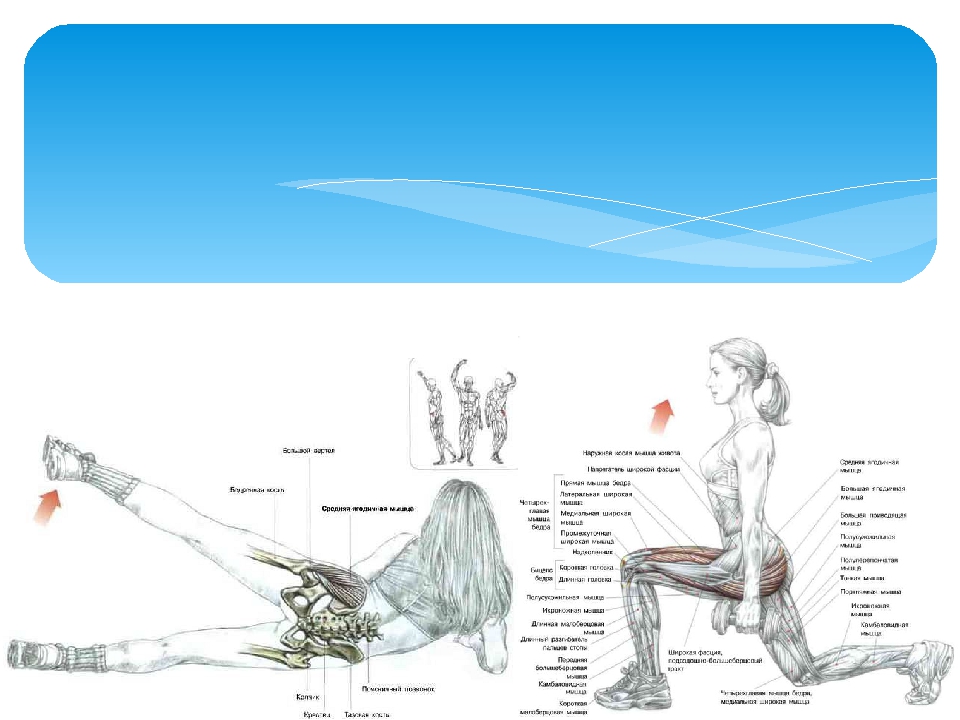 Как накачать бедра девушке