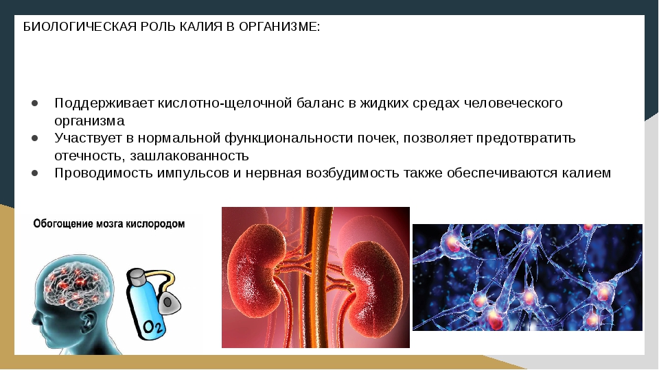 Роль жизни в организме. Биологическая роль калия в организме. Роль калия в живых организмах. Биологическая роль калия в организме человека. Роль ионов калия в организме человека.