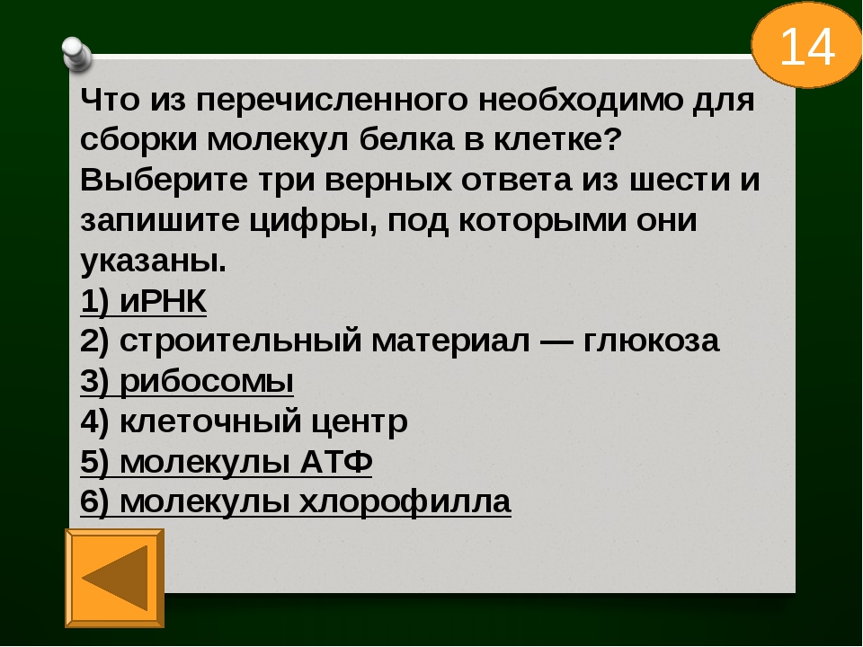 Три верный. Что необходимо для сборки молекул белка в клетке. Сборки молекул белка в клетк. Что необходимо для сборки молекул белка в клетке выберите. Что из перечисленного необходимо для сборки молекул белка в клетке.