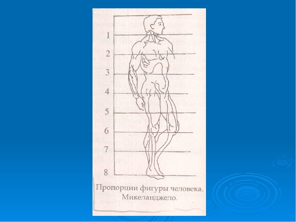 Покажи схему человека. Основные пропорции фигуры человека. Пропорции фигуры человека таблица. Пропорции человека по Микеланджело. Современные пропорции фигуры.