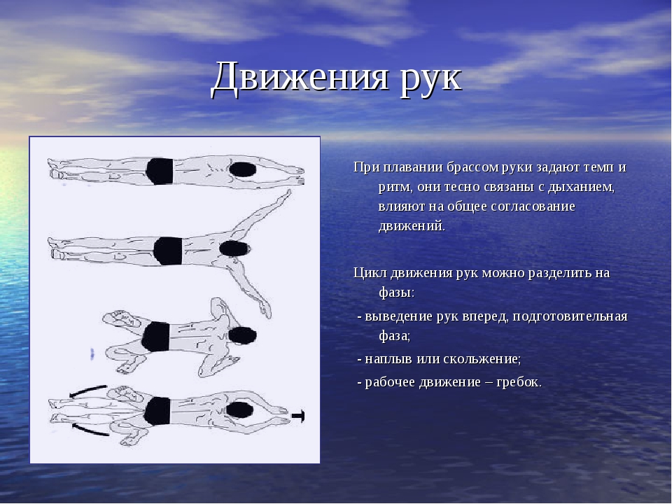 Техника передвижения. Движения рук и ног при плавании брассом. Техника плавания брассом движения рук ног. Фазы движения ногами плавания брасс. Фазы движения рук в брассе.