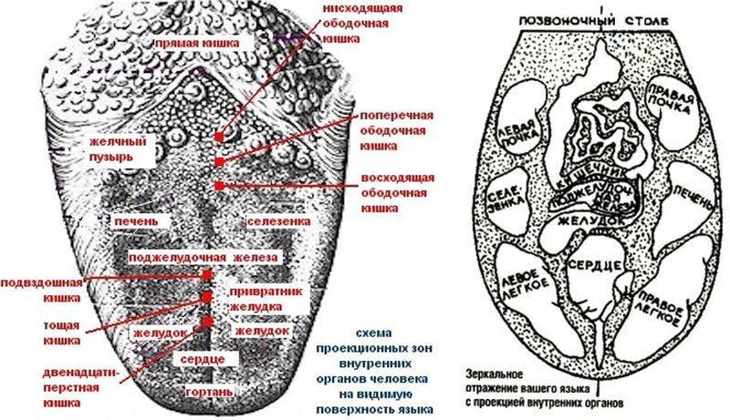 Проверьте себя! Язык расскажет о проблемах в организме