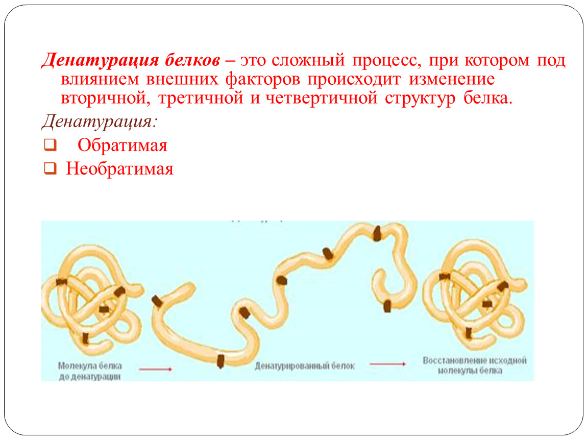 Изменение белков. Денатурация вторичной структуры белка. Денатурация третичной структуры белка. Денатурация процесс изменения структуры белка. Процесс денатурации белка.