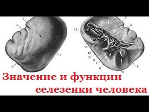 Изображение 6 Изображение 6