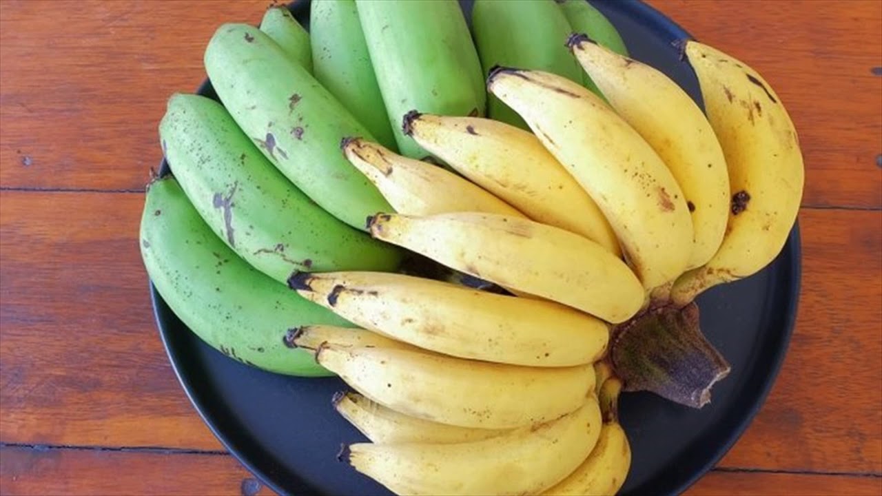 Можно есть зеленые бананы. Зеленые бананы. Банан это фрукт или овощ. Мини бананы зеленые. Полезны ли бананы.