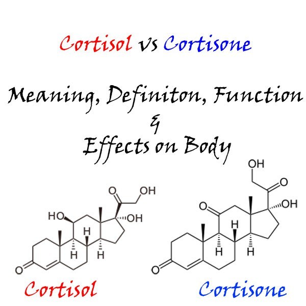 Кортизол 12. Кортизол химическая природа. Кортизон и кортизол. Кортизол формула. Кортизон гормон.