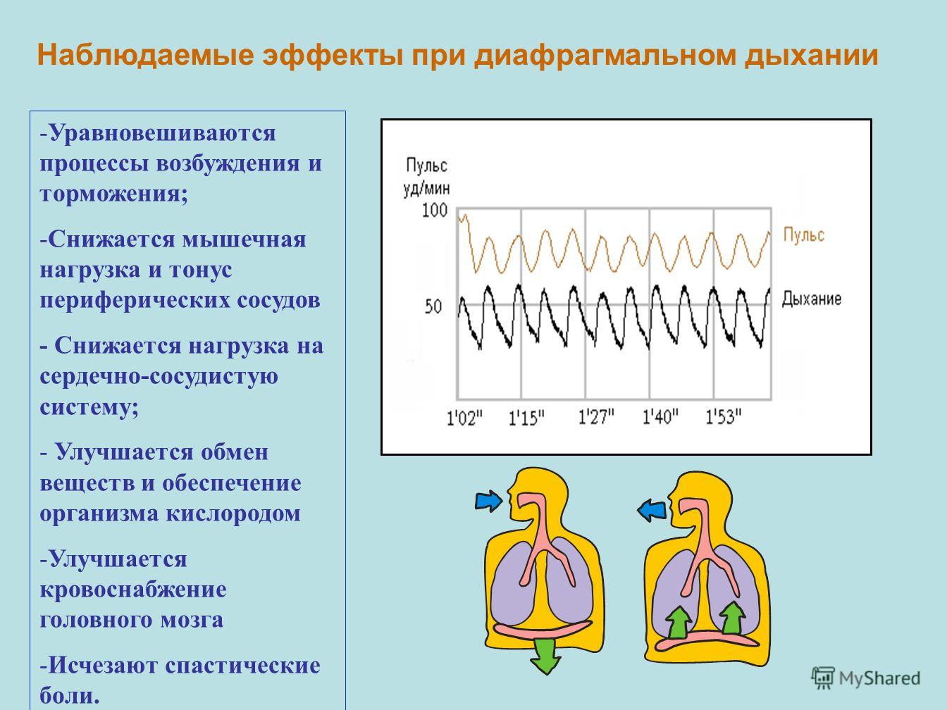 Нормальное дыхание схема