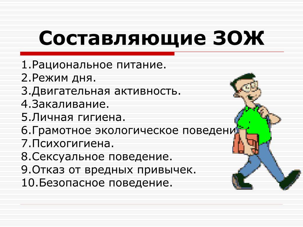 Схема составляющие зож