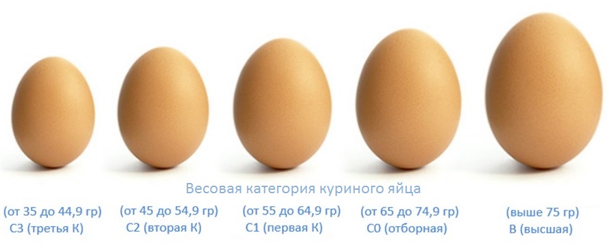 Сколько весит одно яйцо