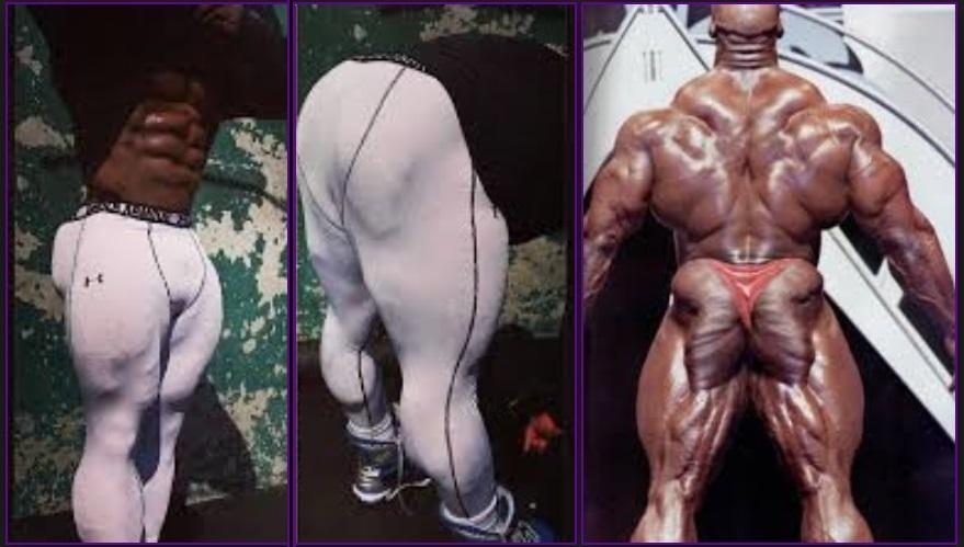 Synthol Butt